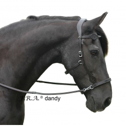 Dandy Side Pull Bitless Bridle And Reins